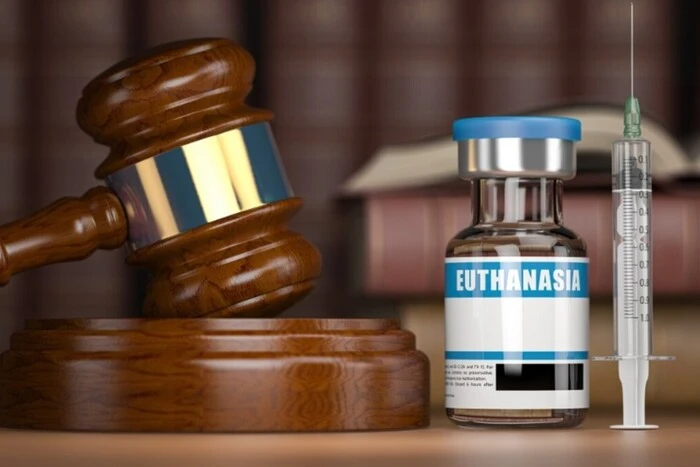 Закон об эвтаназии во Франции