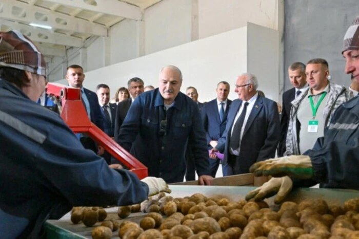 Лукашенко собирает урожай для Путина