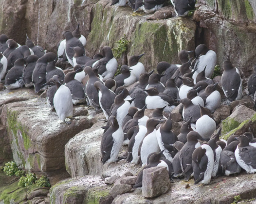 Работа на ремонте среди природы