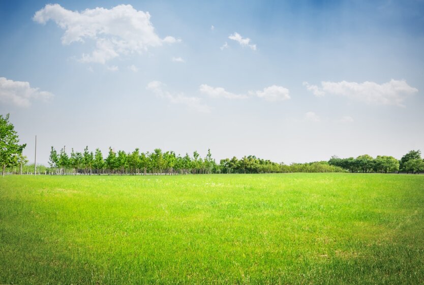 Внимание при покупке земельного участка