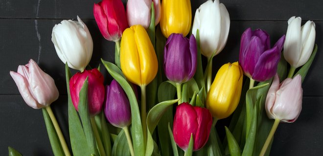 Відзначаємо 8 березня, як символ жіночого права