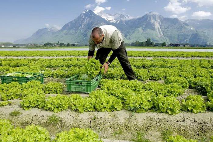 Топ сайтов для поиска работы