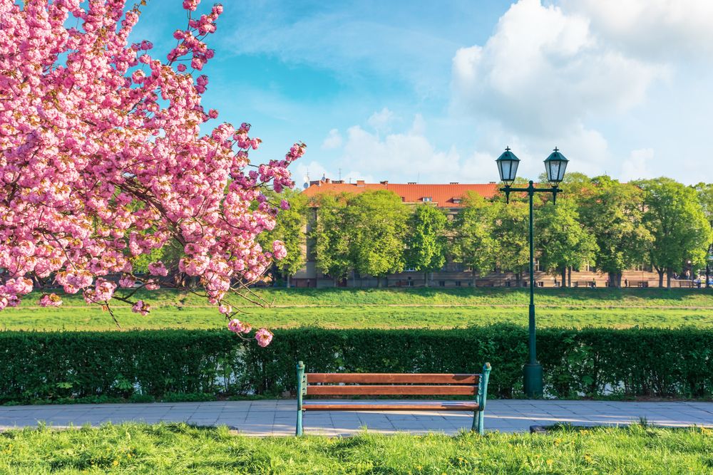 Ужгород — интересные, достопримечательные, туристические и красивые места