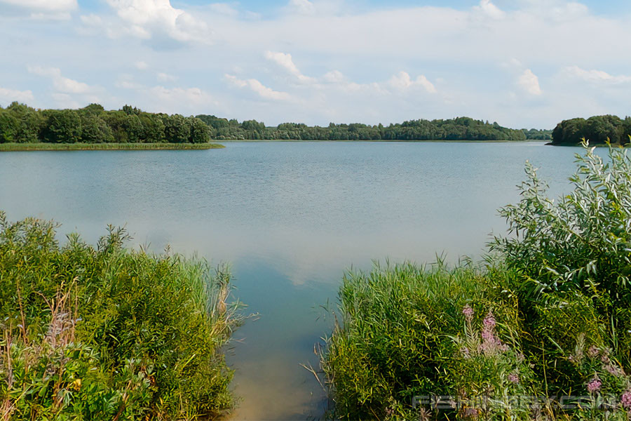 Озеро Круглик: отдых, рыбалка и расположение неподалеку от Киева