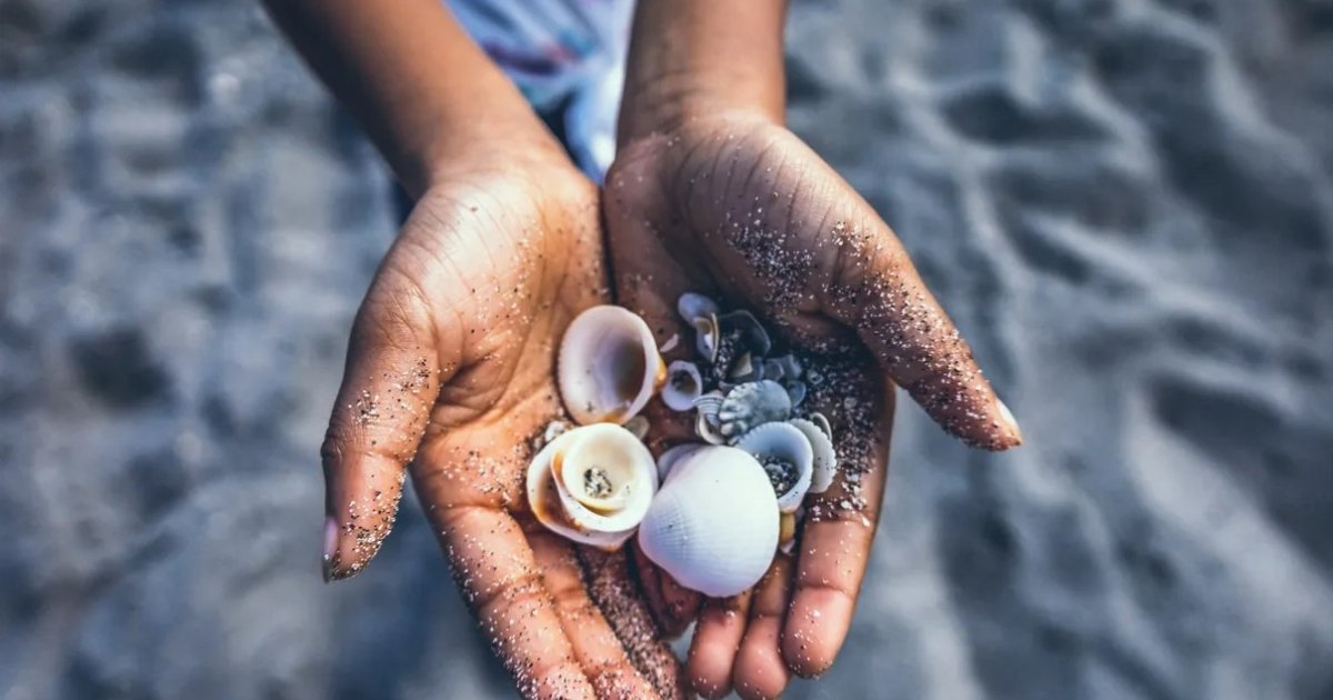 Штраф за мушлі на пляжі