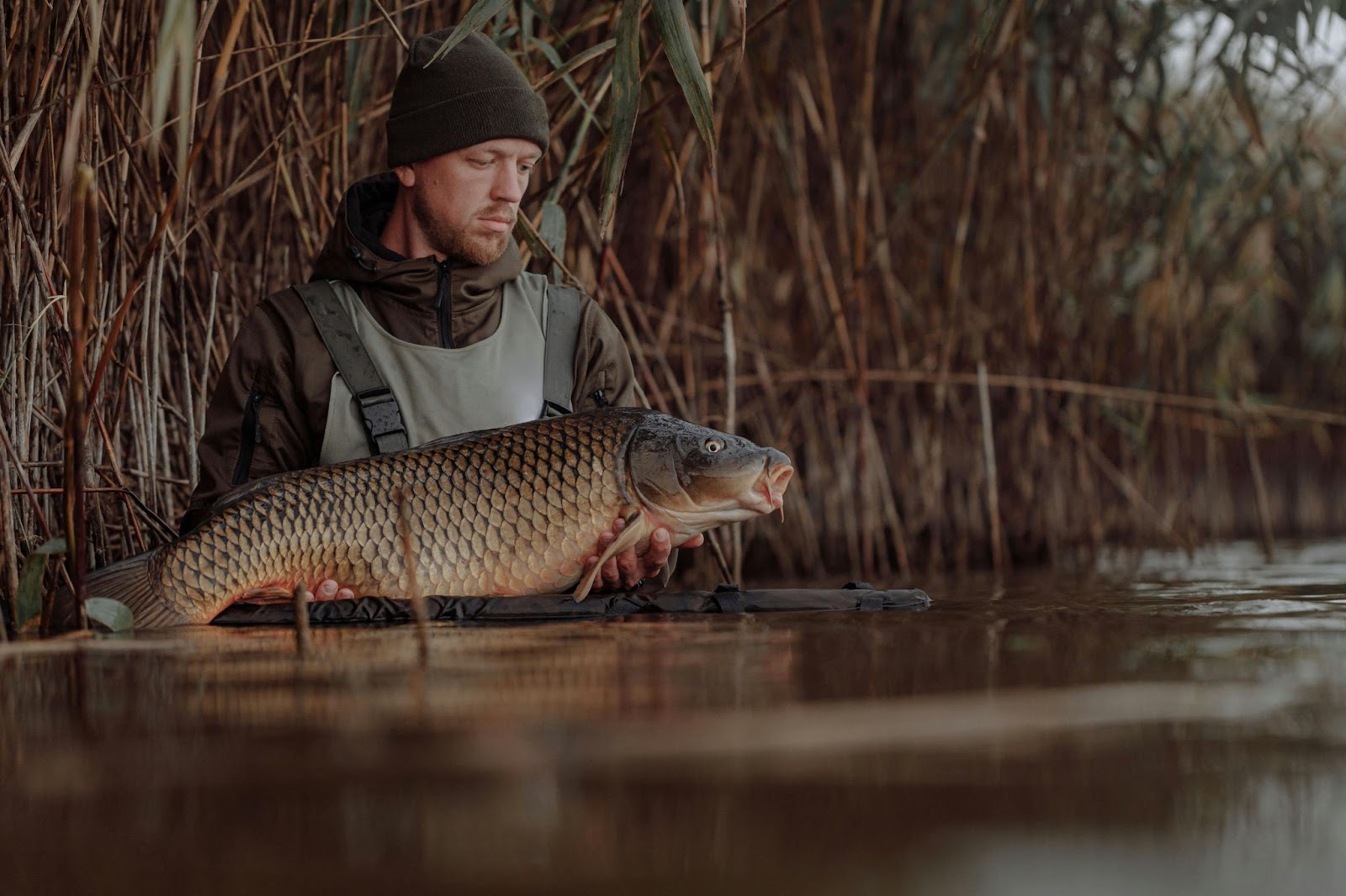 Карп на крючке: секреты удачной ловли для каждого рыбака