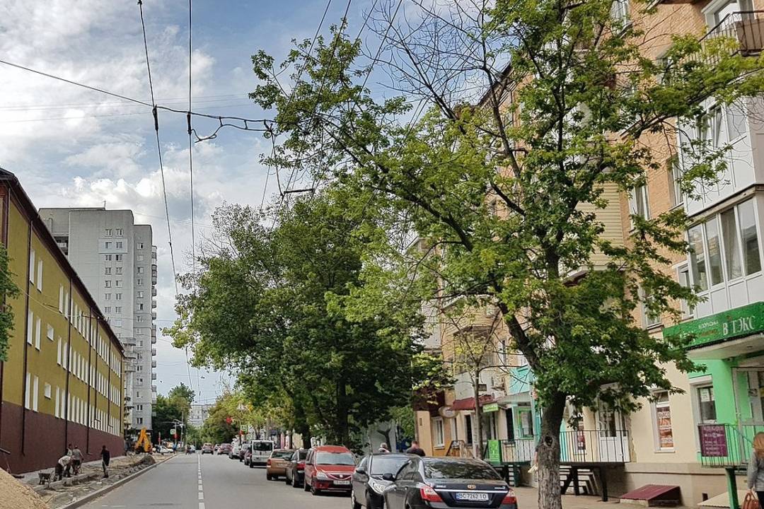 В Чернигове на неделю перекрыли проезд по оживленной улице