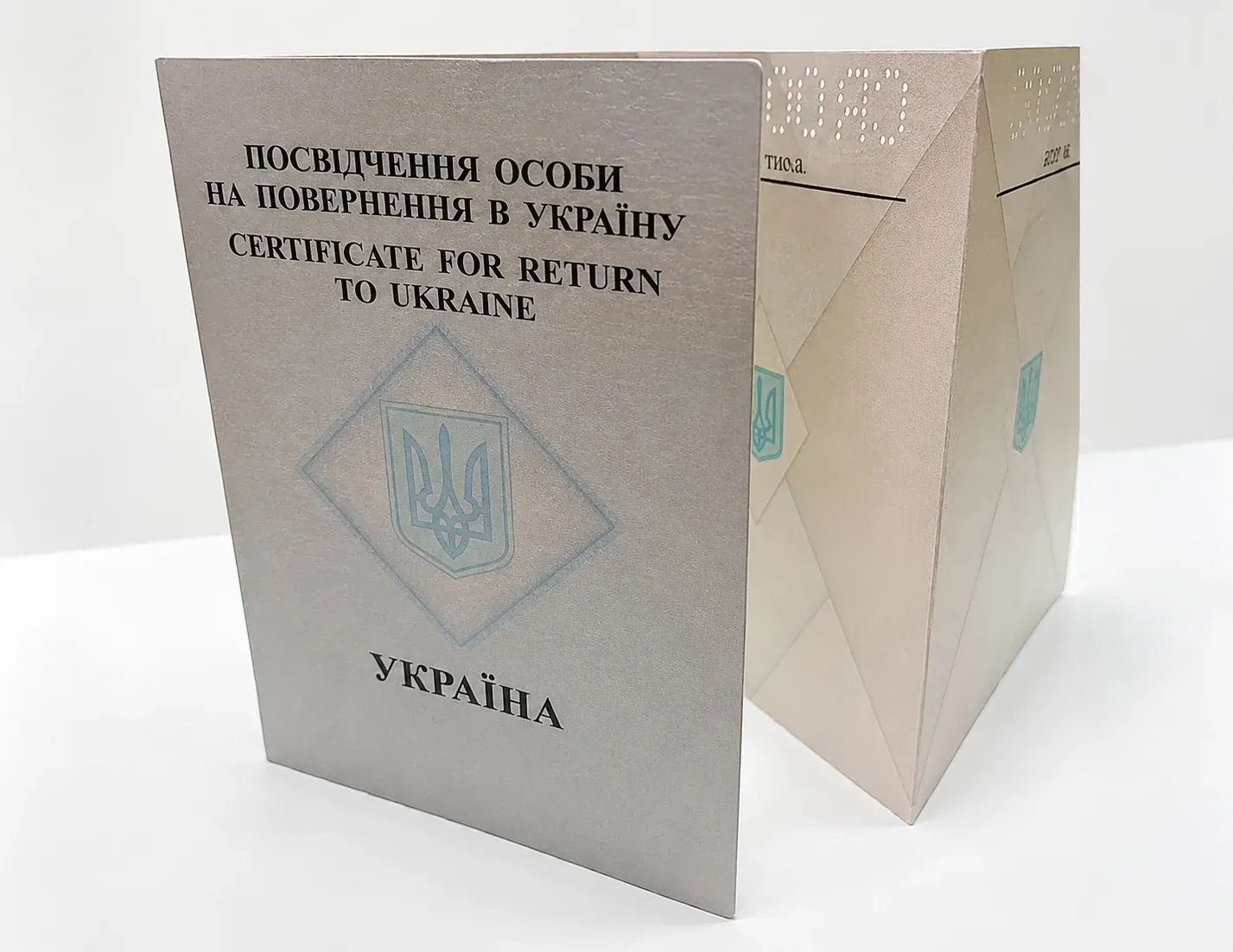 Кому выдают белый паспорт для возвращения в Украину в 2026 году
