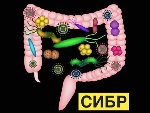 Что учесть, если вы едете в Германию на сдачу сибр анализа?