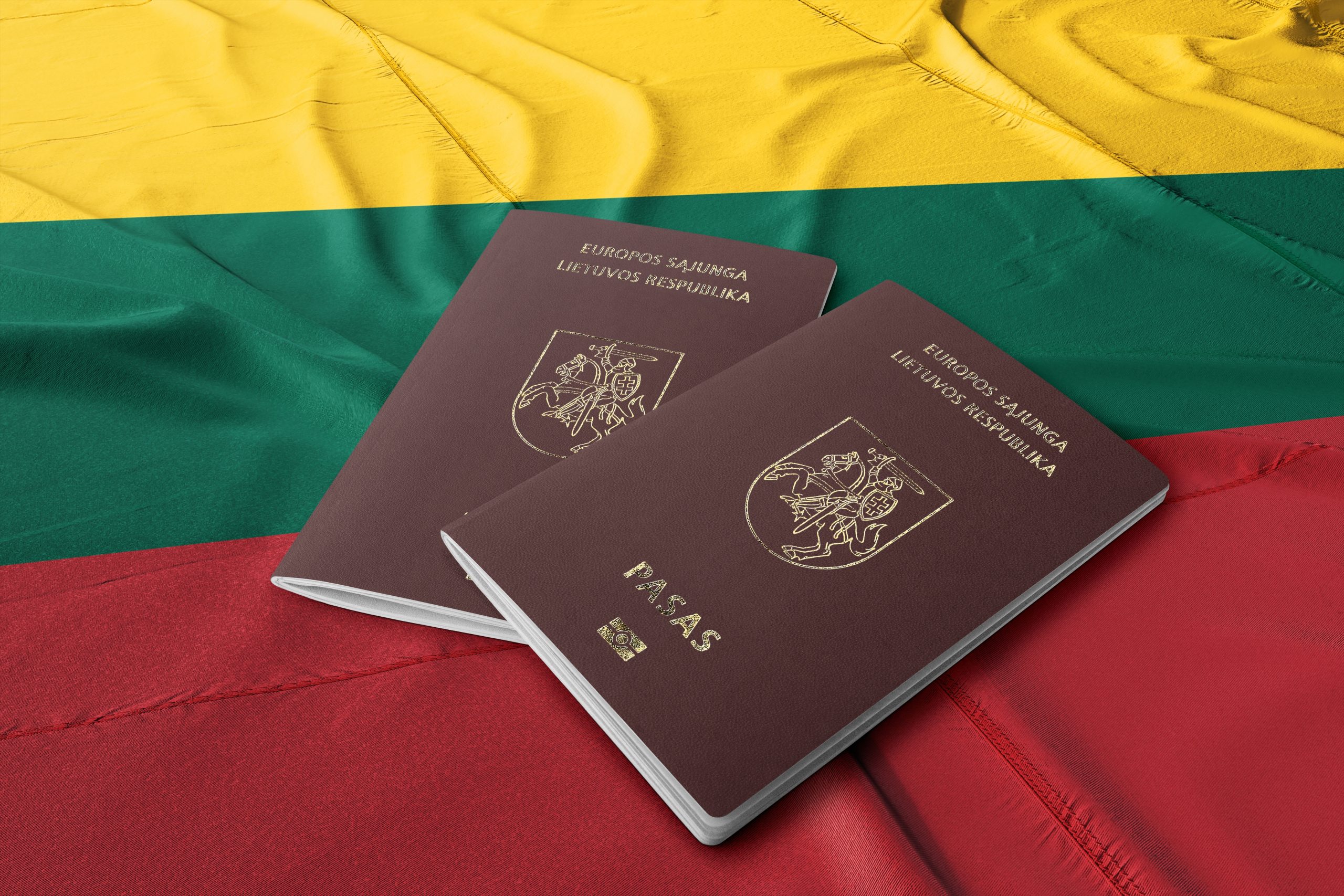 Lithuanian Passport: how to obtain, documents, and main requirements