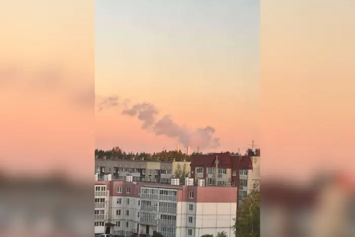 Russian port Primorsk halted oil exports