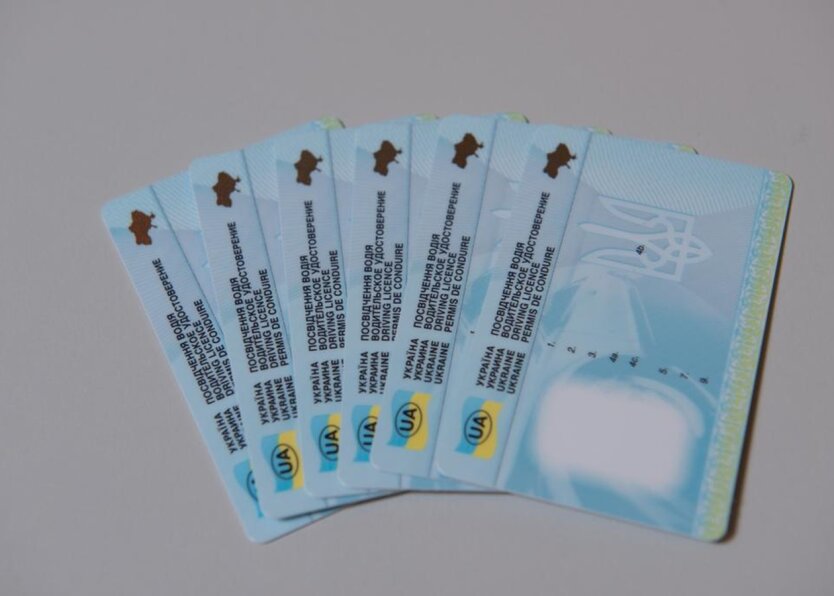 Водії отримають права безкоштовно: в Україні ухвалили важливе рішення