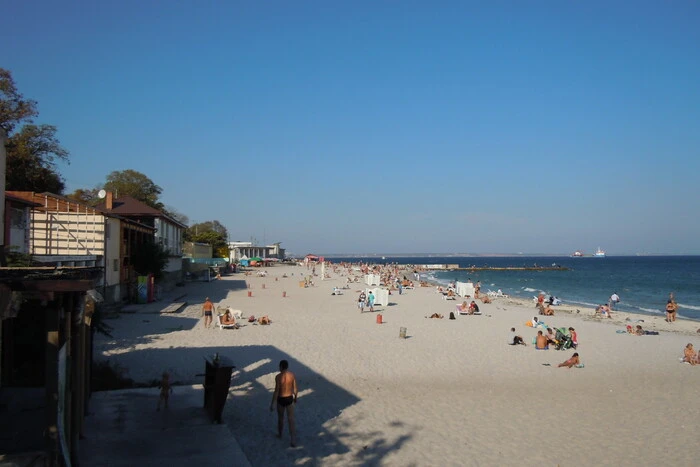 Трактори прибирають водорості на пляжі