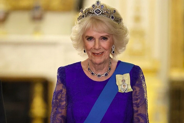 Страва Камілли за 65 грн