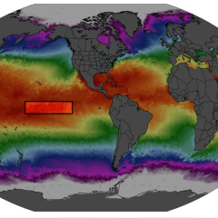 Температура воды в Niño 3.4 превысила 30 градусов