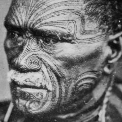 Archaeologists determined the age of Maori settlements