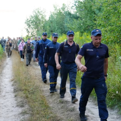 Зниклого хлопчика знайшли живим на Житомирщині