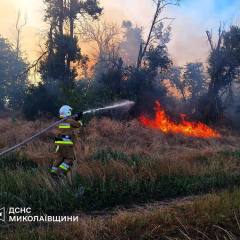 Аварія БПЛА в Миколаївщині: загинув водій, знищено 74 га врожаю