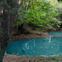 Unique karst lakes Blue windows in Northern Podillya