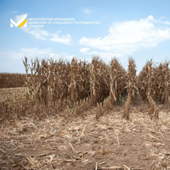Government approves new rules for risky farming lands