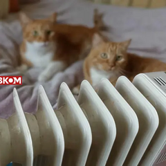 До 6 слов, Перерахунок пенсії, ціни на цигарки, опалювальний сезон