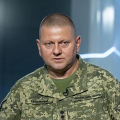 Залужный назвал эффективную зброю на фронті