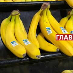Бананы могут стать предметом роскоши