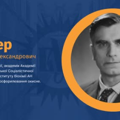 Владимир Белицер - открыватель окисного фосфорилирования