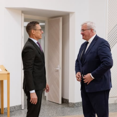 Зустріч Сибіги та Стубба