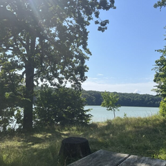 Погодні умови: дощі, грози, спека