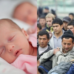 Експерт пояснює, як мігранти впливають на демографію України