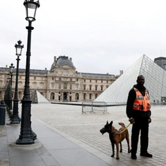 Ticket to the Louvre for tourists