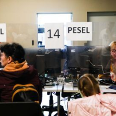 Українці шукають роботу в Польщі