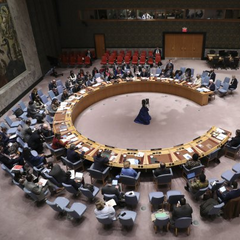 Россия в Совбезе ООН. Украина протестирует.