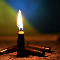 Лідер партії, український політик