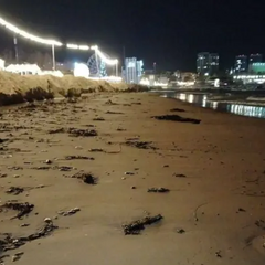 Мазут з тонуть російських танкерів на пляжу