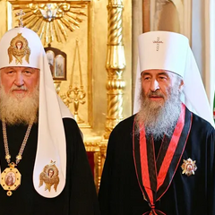 Молодежь читает текст закона