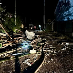 Повалені дерева і пошкоджені будівлі