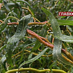 Погода на Покрову в Україні