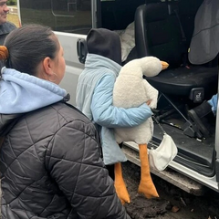 Діти евакуйовані із прифронтових сіл на Дніпропетровщині