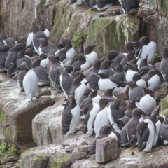 Робот робить ремонт серед природи