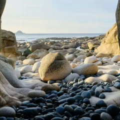 Пляж з яйцями динозаврів на узбережжі