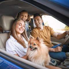 Короткі мандрівки: відновлення ресурсів та надія