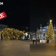 Влада Львова реагує на падіння ялинки