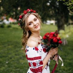 Високія стовбури дерев на фоні