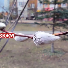 Зимовий пейзаж з Україною до -6°