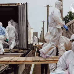 Тіла загиблих захисників України