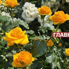 Панорама міста в спеку