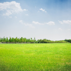 Земельные участки для участников боевых действий
