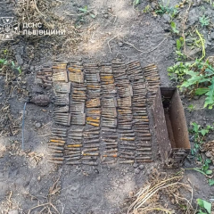 Sappers destroy arsenal of World War II